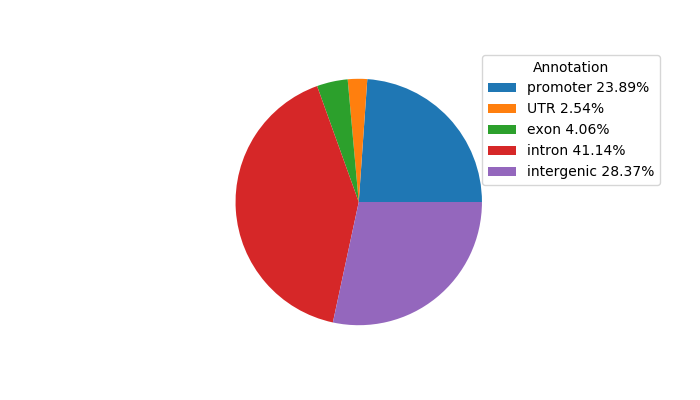 Weighted Piechart of 