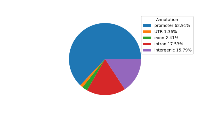 Weighted Piechart of 