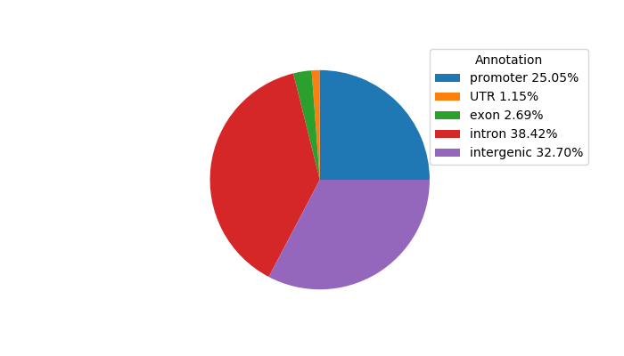 Weighted Piechart of 