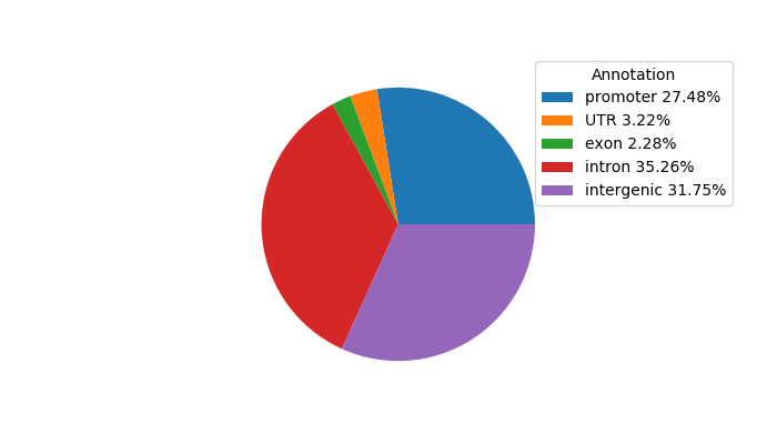 Weighted Piechart of 