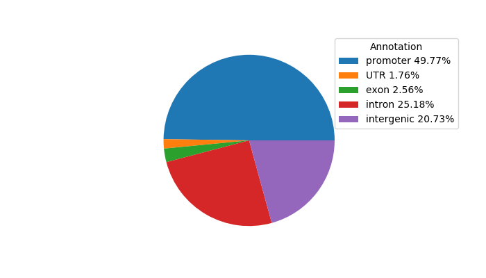 Weighted Piechart of 