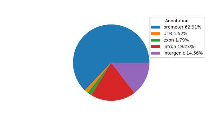 Weighted Piechart of 
